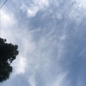 Meet your Posher, Bella